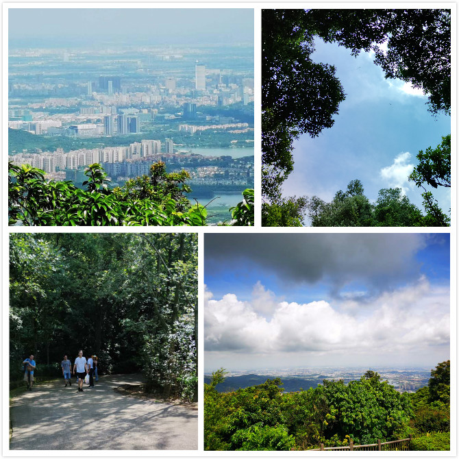 Hydraulic Press Machine Sales Team Hiking GoodsJack